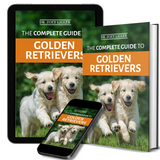 The Complete Guide to Golden Retrievers: Finding, Raising, Training, Loving Your Golden Retriever Puppy and More